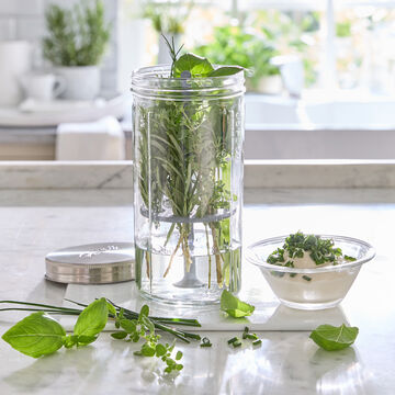 Image du produit pour 'Bocal � herbes Kilner avec couvercle et tige en silicone'