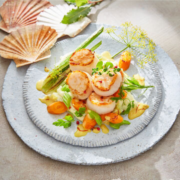 Image du produit pour 'Coquilles Saint-Jacques  la bretonne'