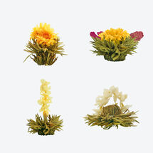 Fleurs de thé: beauté, énergie, arôme - Hagen Grote GmbH