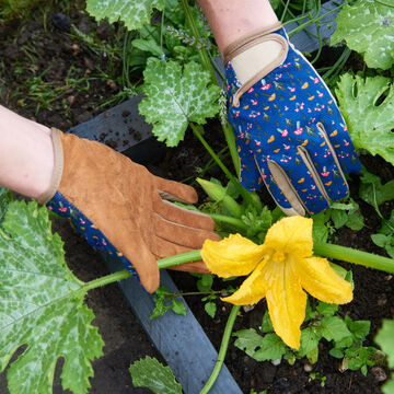 Image du produit pour 'Gants de jardin confort pour le travail quotidien au jardin'