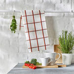 Image du produit pour 'Des torchons efficaces : mtis lin/coton sans peluche dans un motif  carreaux classique'