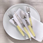 Image du produit pour 'Couverts Laguiole aux fraches couleurs provenales'