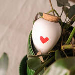 Image du produit pour 'Distributeur d'eau pour plantes en terre cuite - blanc avec coeur , 250 ml'