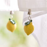 Image du produit pour 'Poids de nappe r�sistants au vent, design citron - lot de 4'