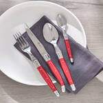 Image du produit pour 'Les couverts Laguiole'