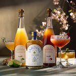 Image du produit pour ' Ap�ritif BIO sans alcool Bergamote & Romarin - 0,7 l - FR-BIO-09'