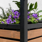 Image du produit pour 'Les herbes, les lgumes et les fleurs poussent plus vite et plus sainement dans un potager surlev, bac  fleurs, jardinire'