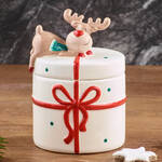 Image du produit pour 'Grande bote  biscuits : les friandises joliment et hermtiquement conserves'