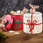 Image du produit pour 'Grande bote  biscuits : les friandises joliment et hermtiquement conserves'