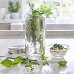 Image du produit pour 'Bocal � herbes Kilner avec couvercle et tige en silicone'