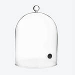 Image du produit pour 'Cloche de fumage - verre borosilicat,  18,5 cm, hauteur 25 cm'