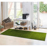 Couleur&nbsp;: Olive