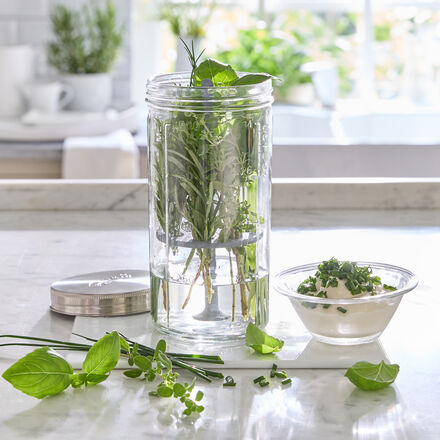 Image du produit pour 'Bocal � herbes Kilner avec couvercle et tige en silicone'