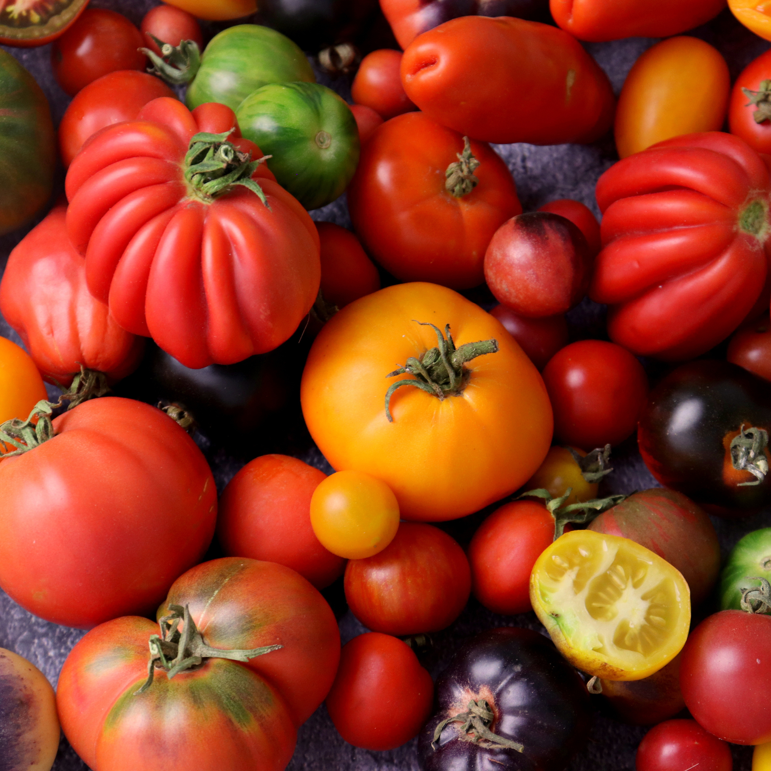 Les tomates – tout sur le beau fruit rouge de l'été